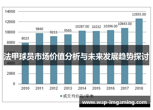 法甲球员市场价值分析与未来发展趋势探讨