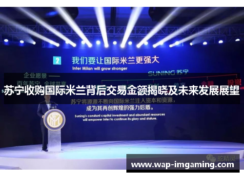 苏宁收购国际米兰背后交易金额揭晓及未来发展展望