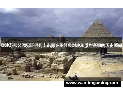 奥沙苏那公园见证巴列卡诺青许多经典对决和激烈赛事的历史瞬间