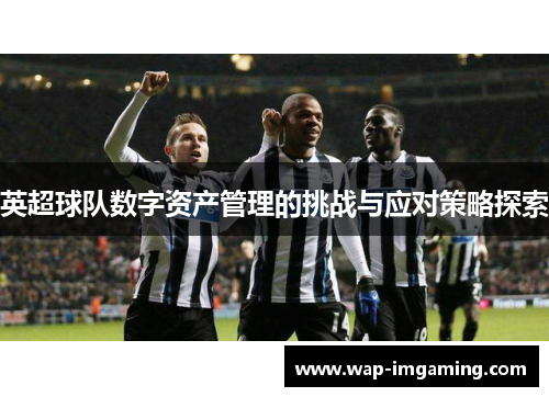 英超球队数字资产管理的挑战与应对策略探索