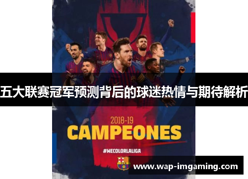 五大联赛冠军预测背后的球迷热情与期待解析