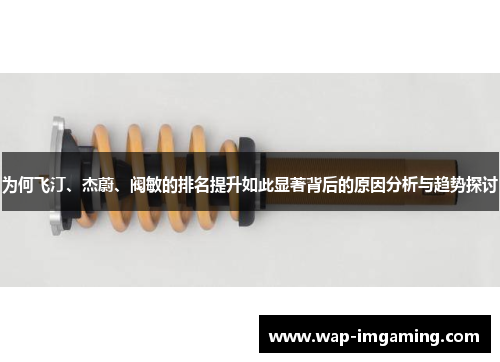 为何飞汀、杰蔚、阀敏的排名提升如此显著背后的原因分析与趋势探讨