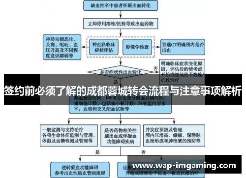 签约前必须了解的成都蓉城转会流程与注意事项解析
