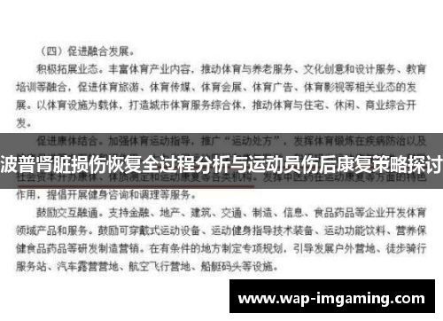 波普肾脏损伤恢复全过程分析与运动员伤后康复策略探讨