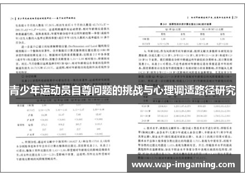 青少年运动员自尊问题的挑战与心理调适路径研究